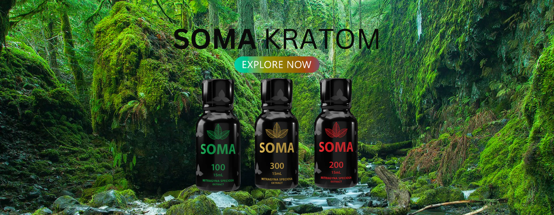Elevate Your Style with Soma